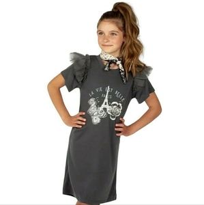 Joyfolie New Gray Peyton Dress size 12